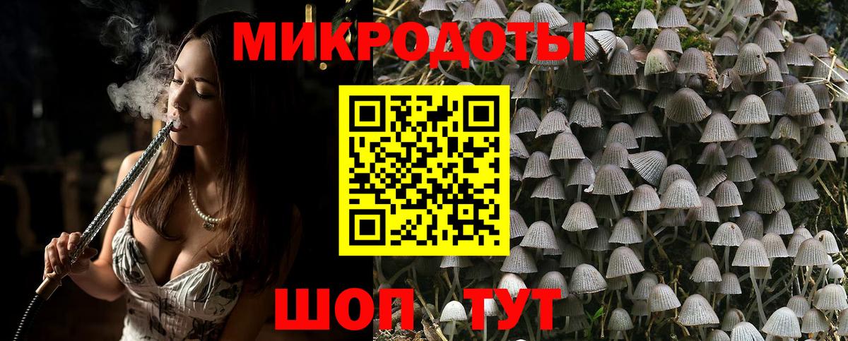 купить закладку  Галлюциногенные грибы MAGIC MUSHROOMS  Вход с VPN  Борисоглебск 